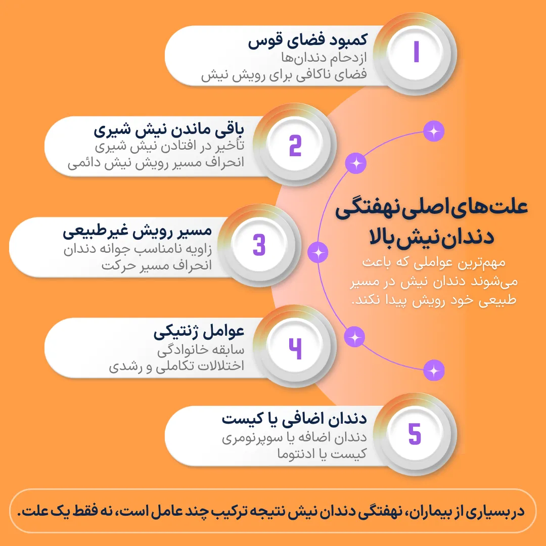 اینفوگرافیک عوامل مؤثر در نهفتگی دندان نیش بالا شامل کمبود فضای قوس، باقی ماندن نیش شیری، مسیر رویش غیرطبیعی، عوامل ژنتیکی و وجود دندان اضافی یا کیست.
